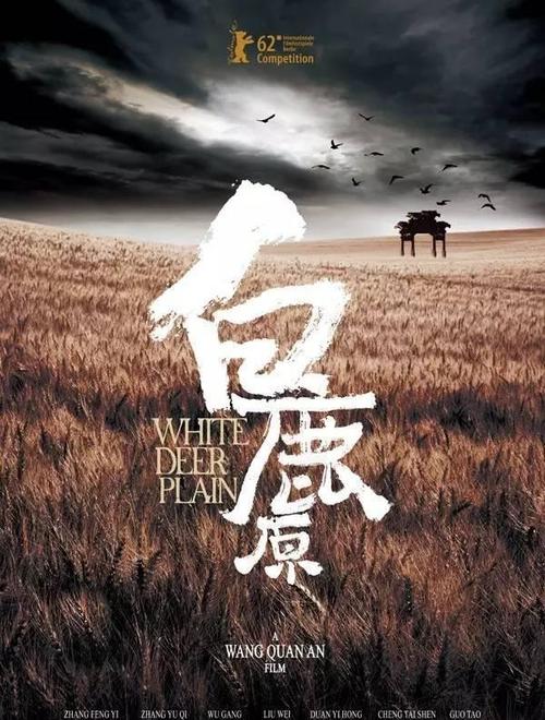 定制伯利兹护照